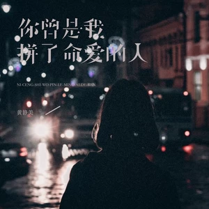 黄静美-你曾是我拼了命爱的人