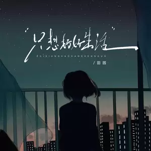 田园-只想好好生活(伴奏)