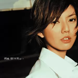 孙燕姿/孙靖-我是我(Remastered)
