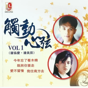 潘协庆-但愿你动我的心