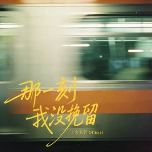 大头针 Official-那一刻我没挽留