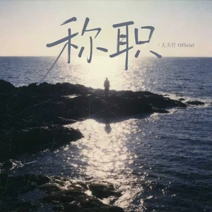 大头针 Official-称职