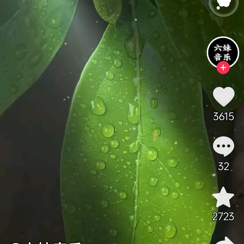 舞曲制作黄守华-吉特巴88-卡带森林 - 哥也累 哥也愁 舞曲制作黄守华