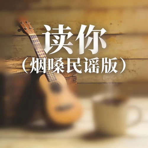 读你(烟嗓民谣版)